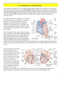 Introduction to Cardiac Dysrhythmias and Adjunctive Modalities lecture notes