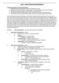 AP1 Lab7 Joint Structure FA2020