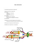 Apuntes Bioquímica y Biología Molecular I (1009200) 