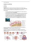 Samenvatting Biologie Voortplanting 4vwo 