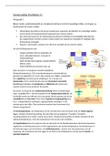 Samenvatting Biologie Regeling intern milieu