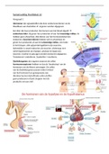 Samenvatting Biologie H12 Uitscheiding