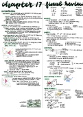 Ch.17 - Externalities (and final review)