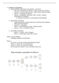 biologie samenvatting:  voortplanting en genetica & spieren VWO