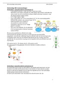 EBC samenvatting werkcolleges