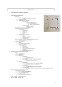 Volledige samenvatting “Overzicht van de historische kritiek” (Slides + notities + bijhorende delen van het handboek)