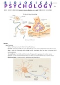 Neurophysiology, Neurochemistry, Neuroendocrinology