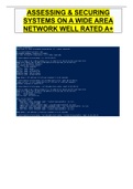 ASSESSING & SECURING SYSTEMS ON A WIDE AREA NETWORK WELL RATED A+