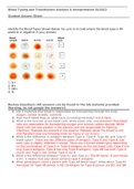 Blood Typing and Transfusions Student Answer Sheet