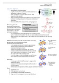 Samenvatting  Human Fertility (NWI-BM050B)