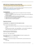 Respiratory System Study Guide 