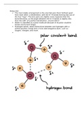 EmSAT Biology notes