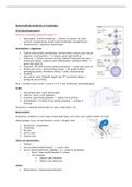 Samenvatting anatomie en fysiologie 2