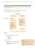 Fysiotherapeutisch handelen samenvatting periode 1.3