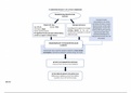 Pathophysiology of Liver Cirrhosis