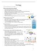 Samenvatting  Virology (1077FBDBMW)