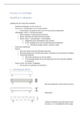 Samenvatting hoofdstuk 3 structuur en morfologie