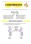 Carbohidratos