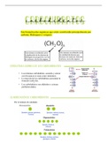 Carbohidratos