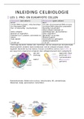 Samenvatting Inleiding Celbiologie