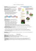 Introduction to metabolism 