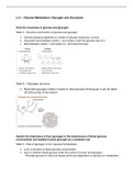 L14 - Glucose Metabolism (Glycogen and Glycolysis)