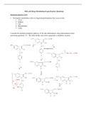 Drug Metabolism Practice Problems