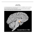 BIOLOGY 24011 36 Hormone Actions Answer Key- Houston Community College