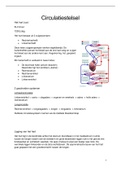 Samenvatting  circulatiestelsel