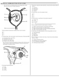 Bio Sexual Reproduction Study Guide