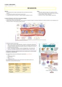 anatomia patologica inflamacion aguda