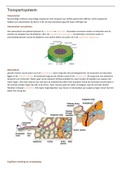 bloedvatenstelsel, biologie voor jouw hoofdstuk 4