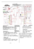 MCAT Notes: Kaplan Biology Chapter 10 (Homeostasis)