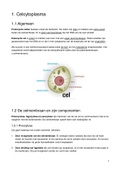 Anatomie 1 Histologie