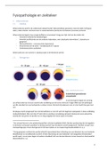 Uitgebreide Samenvatting  Fysiopathologie En Ziekteleer (1022FBDBMW)