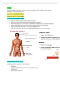 Week 7- Endocrine System Notes