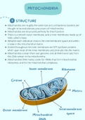 Mitochondria Structure and Function, and Programmed Cell Death