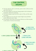 DNA Structure and Function