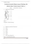 Test Bank for Essentials of Human Anatomy & Physiology, 13th  Edition by Elaine N. Marieb, Suzanne M. Keller A+