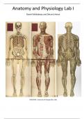 Anatomy and Physiology Lab 1 Manual: Introduction to Human Body Systems by Daniel McNabney and DeLoris Hesse