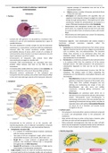 Cellular structure and Microbial taxonomy - Jawetz microbiology