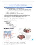 Samenvatting abdomen 1 - gynaecologie