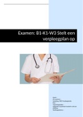 Examen Stelt een verpleegplan op 