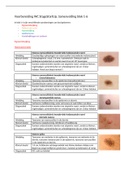 Samenvatting huidtherapie alle indicaties jaar 1 en jaar 2
