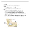 Samenvatting  Diagnostiek 6 pathologiën