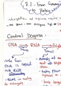 Chapter 7 Summerization taken directly from nelson bio textbook