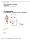 BIOS-256 Week 6 OL Lab 6: Male and female reproductive system | 100% GUARANTEED