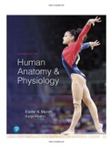 Human Anatomy and Physiology 11th Edition Marieb Test Bank