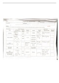 Diels-Alder Reaction LSU Chem 2364 Organic Chem Lab 2022