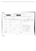 Nitration of Bromobenzene LSU Chem 2364 Organic Chem Lab 2022